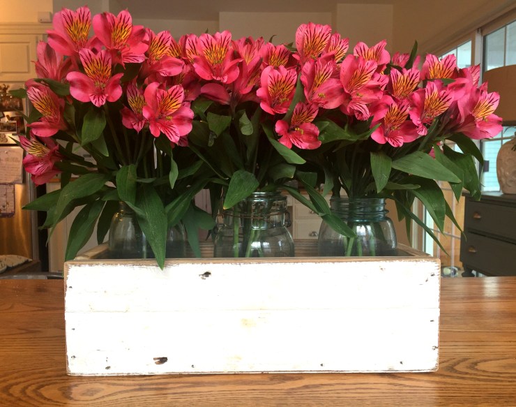 alstroemeria close up